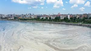 Değerli arkadaşlarım, kanal i̇stanbul konusu ile ilgili bir kaç paylaşım yaparım düşüncesiyle bilgisel şeklinde başlamamıştım. Wie Wirkt Sich Kanal Istanbul Auf Den Meerspeichel In Marmara Aus