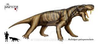 Rubidgea Quinquemolaris Ancient Animals Prehistoric Animals Prehistoric Wildlife