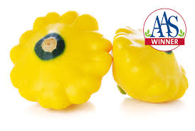 We did not find results for: Sunburst Squash Patty Pan Squash Premium Garden Seeds Hoss Tools