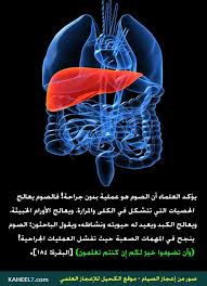 11 13 Jpg 650 900 Islamic Information Science Islam