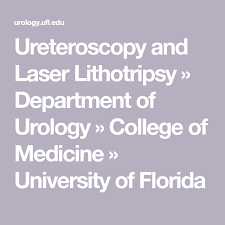 Ureteroscopy And Laser Lithotripsy Department Of Urology College Of Medicine University Of Florida University Of Florida Medicine Patient Care