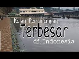 Kolam Pemancingan Galatama Ikan Mas Termegah Di Indonesia Youtube