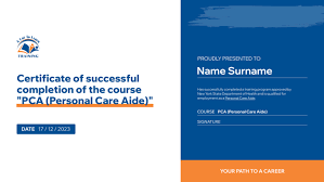 Personal care aide training | School A Lot To Learn Training