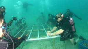 Taman laut malaysia, putrajaya, malaysia. Sultan Johor Menyelam Rasmi Program Restorasi Anak Karang