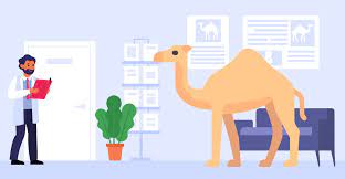 Could not find endpoint element with name 'namedpipeep' and contract 'wcfclient.namedpipe.idemoclass' in the servicemodel client configuration section. The Guide To Testing In Apache Camel Tom Donohue