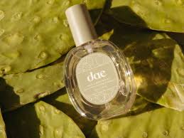 Organic aid vitamin e oil 28000iu doctoroncall is malaysia's first and largest digital healthcare platform, bringing easier and more affordable access to medicines through our online pharmacy. Prickly Pear For Skin The Complete Guide