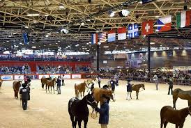 Loyal to its commitments to the horse sector and its audiences, the salon du cheval de lyon is under starter's orders en route for the 2020 equita lyon. Equita Lyon Lyoncitybreak Fr