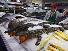 Maybe you would like to learn more about one of these? Shopping At Walmart In China Pictures Details