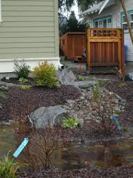 Rain Gardens Clarke 9 10 54sm Garden Landscape Design Rain Garden Garden Design