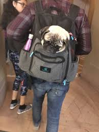 Kingsman At The Smithsonian Museum Washington Dc Smithsonian Museum Washington Dc Washington Dc Museum Smithsonian Museum