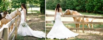 Entdecke günstige damenbekleidung im outlet und spare dich & deinen kleiderschrank glücklich mit den neusten styles und den modeklassikern im sale Hund Zur Hochzeit Die Besten Tipps Ideen Euer Tier Mit Einzubeziehen