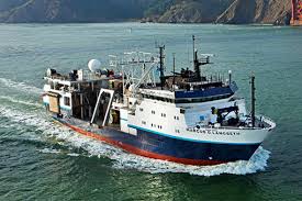 After some comprehensive research, scientists discovered that the physics defying wave was caused by an earthquake. Mega Tsunami Could Be Triggered By An Alaska Quake Scientific American