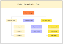 Functional Organizational Structure Online Charts Collection