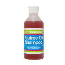 Naf Teatree Oil Shampoo In 2021 Oil Shampoo Tea Tree Oil Shampoo