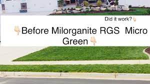 Maybe you would like to learn more about one of these? Before And After Milorganite Rgs Micro Green Apply Humic12 Youtube