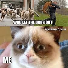 Grumpy Cat Lyrics Funny Grumpy Cat Memes Funny Cat Memes Grumpy Cat Quotes