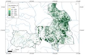 Image result for Gilbertiodendron dewevrei