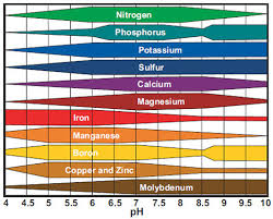 ph nutrient availability rough brothers official blog