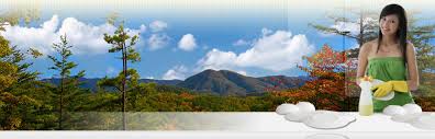 Cabin cleaners in sevierville on yp.com. Vacation Cabin Cleaning Services In Ellijay Blue Ridge Blairsville Mountainclean Llc
