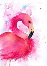 Flamingo Wallpaper Super Beautiful Flamingo Flamingo Flamingos Flamingoparty Flamingobedding Flamingostarchalle Flamingo Art Watercolor Art Flamingo Painting