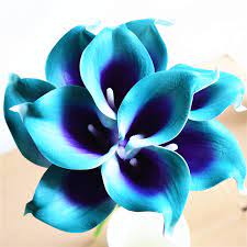 With over 1 million happy flower customers we deliver flowers, same day across the us. 10 Teal Purple Calla Lilies Real Touch Flowers Artificial Flowers For Silk Wedding Bouquets Centerpieces Wedding Decorations Artificial Dried Flowers Aliexpress
