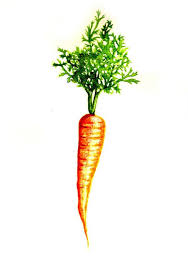 The Big Carrot Art Print By Julie Lamb Vegetable Painting Carrot Drawing Vegetable Illustration
