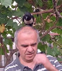 Doctor Dolittle, who has a guide dog, makes friends with a magpie