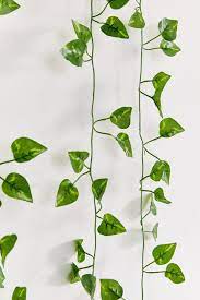 Faux Hanging Vine Garland Hanging Vines Plant Aesthetic Leaf Decor