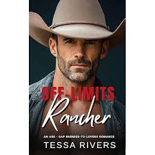 Dangerous Descent (A Dangerous Skies Adventure)