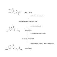 Well It S Thanksgiving Tomorrow Night So It S Time To Republish This Post From Last Year Just In Time For The Ageless Turkey Meat How To Make Some People Say