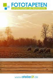 Landschaften Fototapete Wandbilder Sonnenuntergang Fur Wandgestaltung Homedesign In 2020 Fototapete Tapeten Bilder