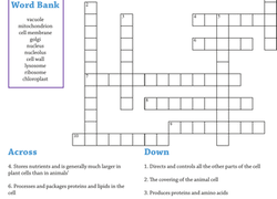 4th grade science crossword puzzles. 4th Grade Science Worksheets Free Printables Education Com