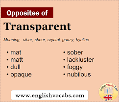What sets it apart from other application of this type is transparency. Opposite Of Transparent What Is Opposite Antonym Word Transparent English Vocabs
