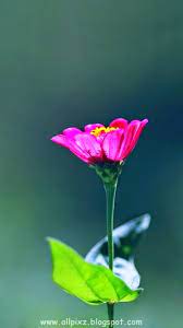 Open the image in photos. Wallpapers Free Download For Mobile Posted By Zoey Anderson