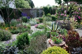 Real Garden A Small Hilltop Garden Is Brought To Life Small Garden Images Easy Plants To Grow Plants