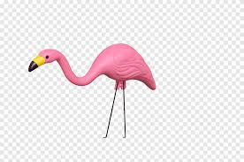 Check spelling or type a new query. Plastic Flamingo Lawn Ornaments Garden Sculptures Flamingo Animals Bird Png Pngegg