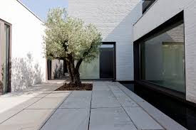 Een gelaag is een plaats waar klei wordt. Gallery Of Courtyard House Vw Areal Architecten 10