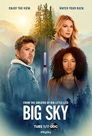 The best paranoid thriller movies ever made have come from some of the greatest directors of all time and are ranked very highly by imdb users. Imdb Ratings Reviews And Where To Watch The Best Movies Tv Shows In 2021 Big Sky Katheryn Winnick Sky Tv