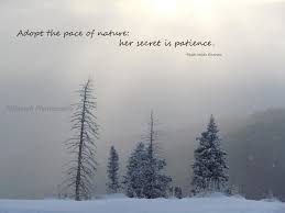 Nature Photography Inspirational Quotes Winter Wonderland Snowy Trees Mountains Emerson Adopt The Pace Of Nature Print Nature Photography Quotes Short Nature Quotes Quotes About Photography