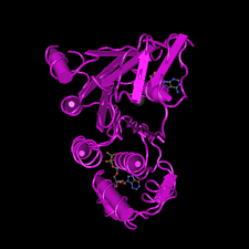 Image result for Delta F508