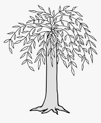 How to draw a weeping willow tree for beginners. Willow Drawing Palm Tree Weeping Willow Tree Clipart Hd Png Download Transparent Png Image Pngitem
