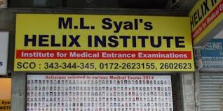 helix institute chandigarh courses fee structure other