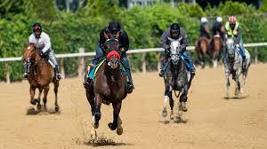 Future trending kitchen designs 2021 preakness predictions. Belmont Odds And Picks Who Will Win The New York Times