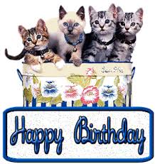 Auguri Compleanno Gatti Compleanno Gatti Buon Compleanno Buongiorno Saluti