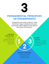 3 Fundamental Principles of Fingerprints