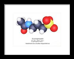 Image result for Acamprosate