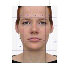 Perfect Face Ratio