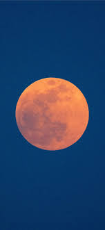 We choose the most relevant backgrounds for different devices: Best Blue And Orange Iphone X Hd Wallpapers Ilikewallpaper