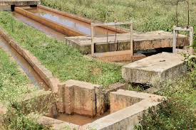 Kimira Oluch Irrigation