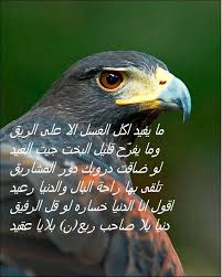 شعر وشعراء الترابين Home Facebook